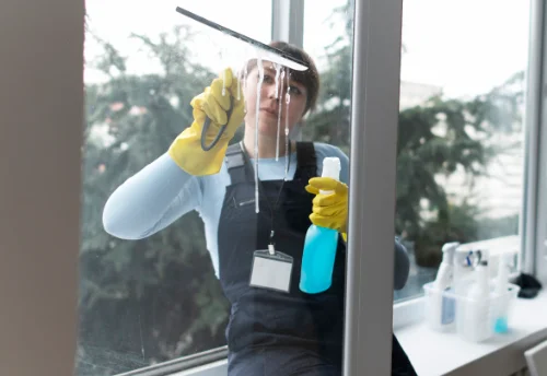 Nettoyage de vitres intérieures et extérieures à Saint-Savin